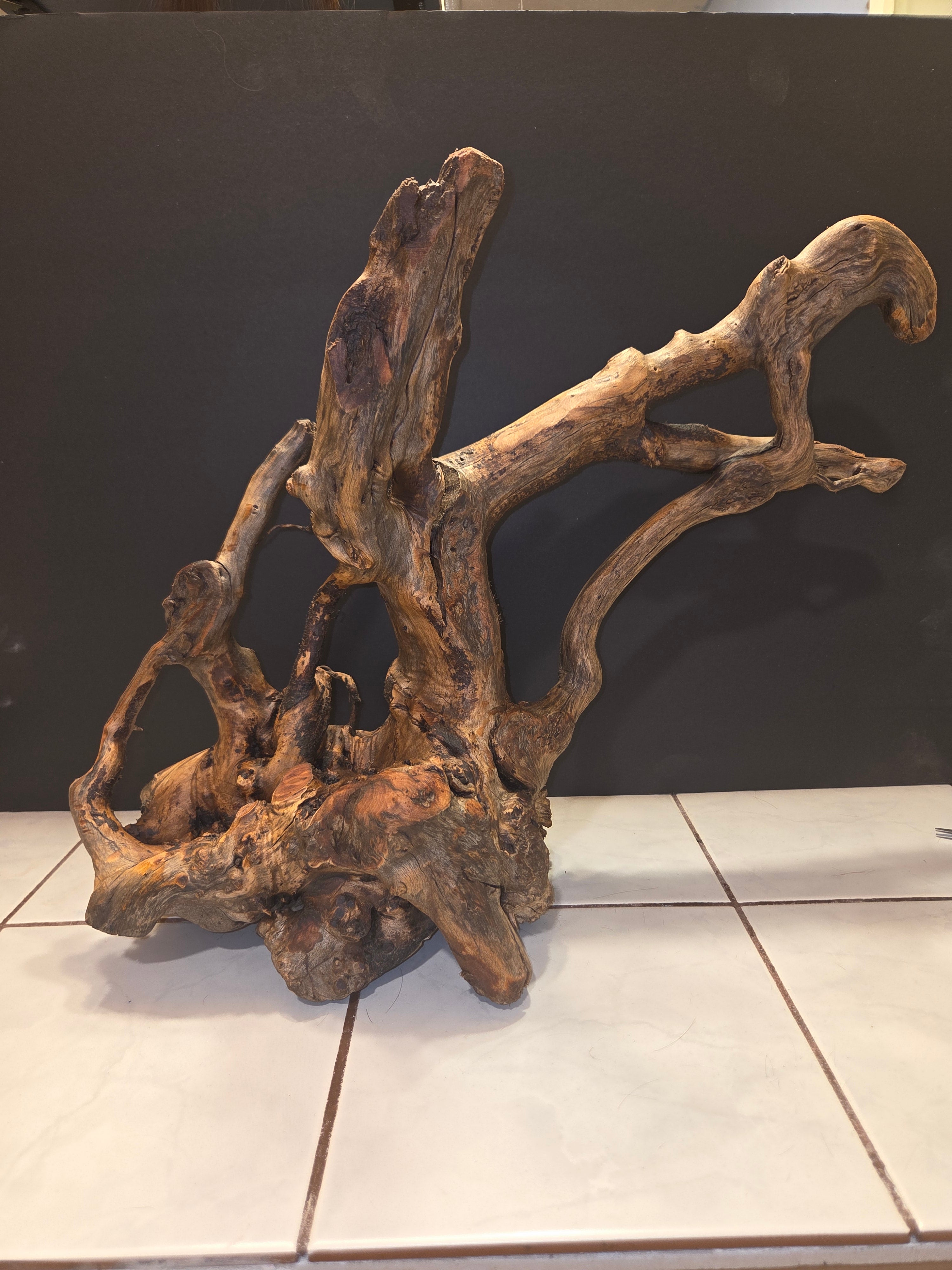Driftwood Root