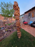 Burl wood