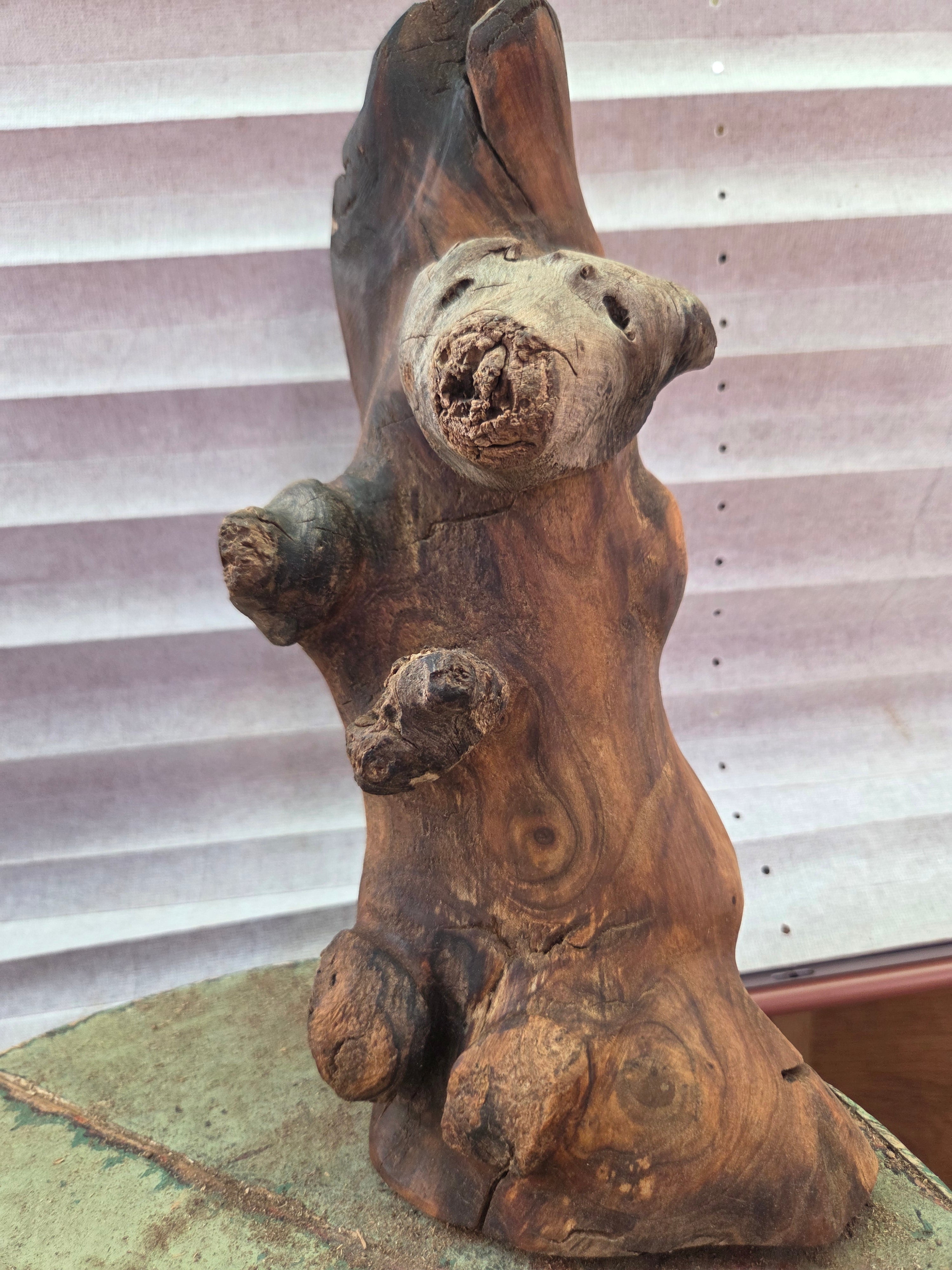 Driftwood bear