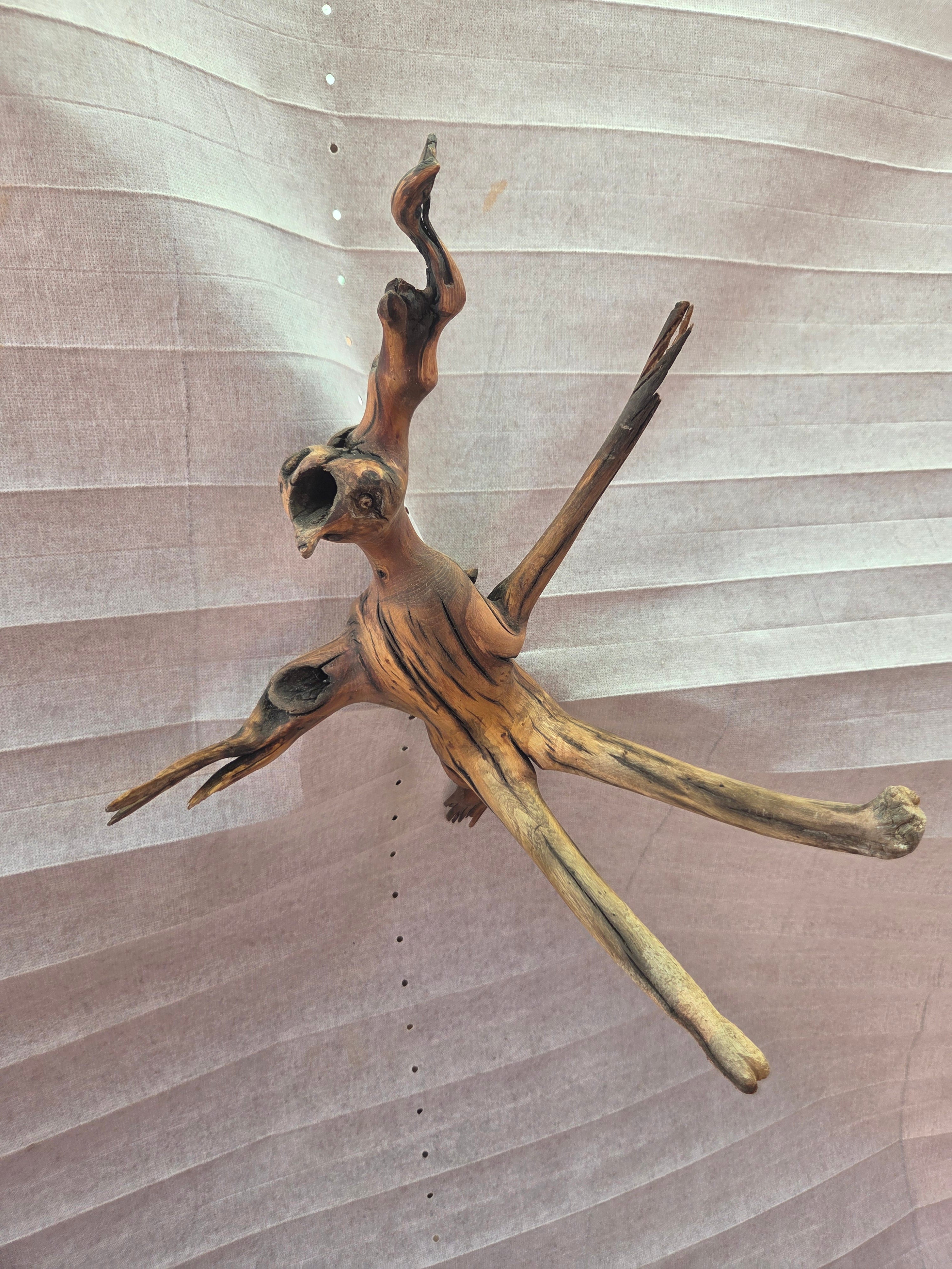 Driftwood art